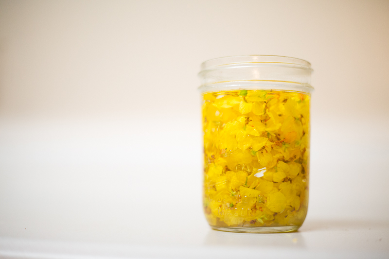 Hawks and honey Palo Verde Flower Essence.