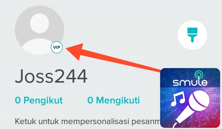 Референсы для продвижения караоке приложения smule. Smule иконка. Smule on android. Вип в смуле. Smule vip.