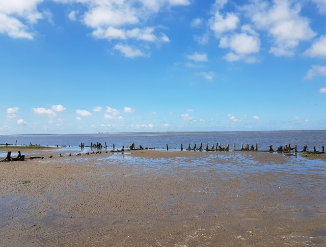 9 Tipps für eine Tour im Wattenmeer mit kleinen Kindern. Auf unserer Wanderung im dänischen Watt haben wir viel gelernt, und auf Küstenkidsunterwegs erzähle ich von unseren Erfahrungen und verrate ich Euch Tipps und Tricks, damit Euer Ausflug ins Wattenmeer mit Kids für die ganze Familie ein Erfolg wird!