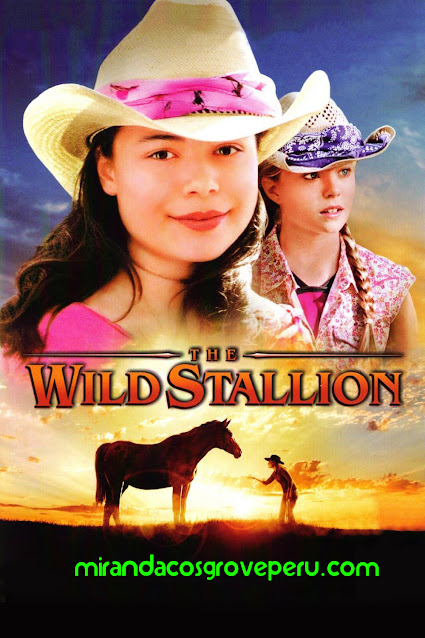 the wild stallion Miranda Cosgrove cine film fans peru