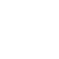 Armando Sá Photos