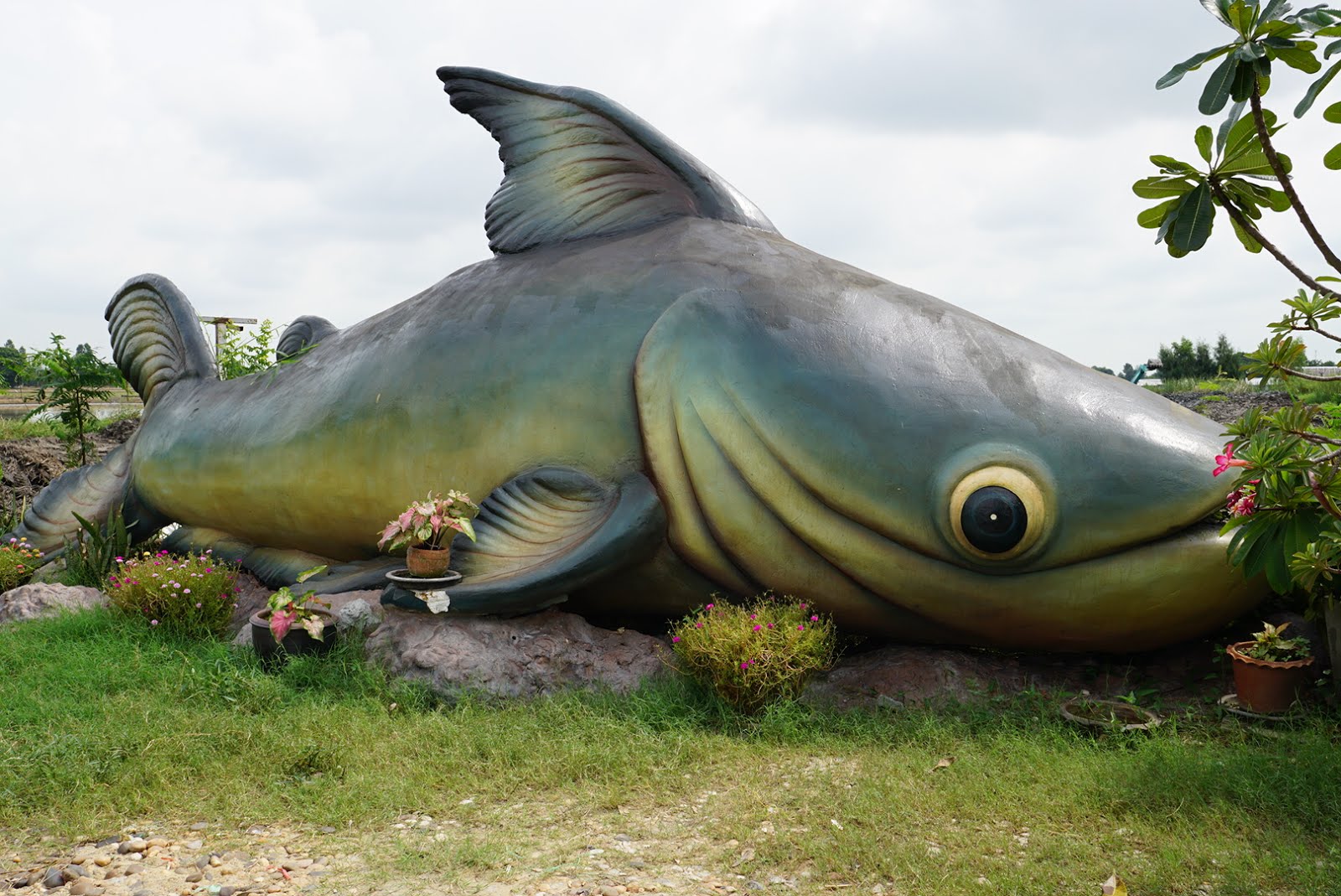 最新版 タイで怪魚を釣る 移転後のニューブンサムラン フィッシングパーク Bungsamran Fishing Park リーマンマイラーの楽しみ方