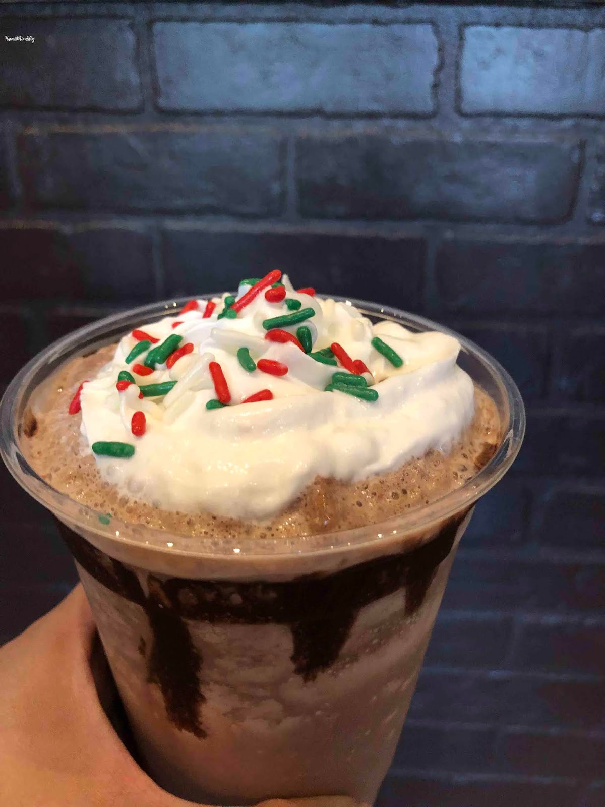 Hawaii Mom Blog Visit Big Island Puna Chocolate Company