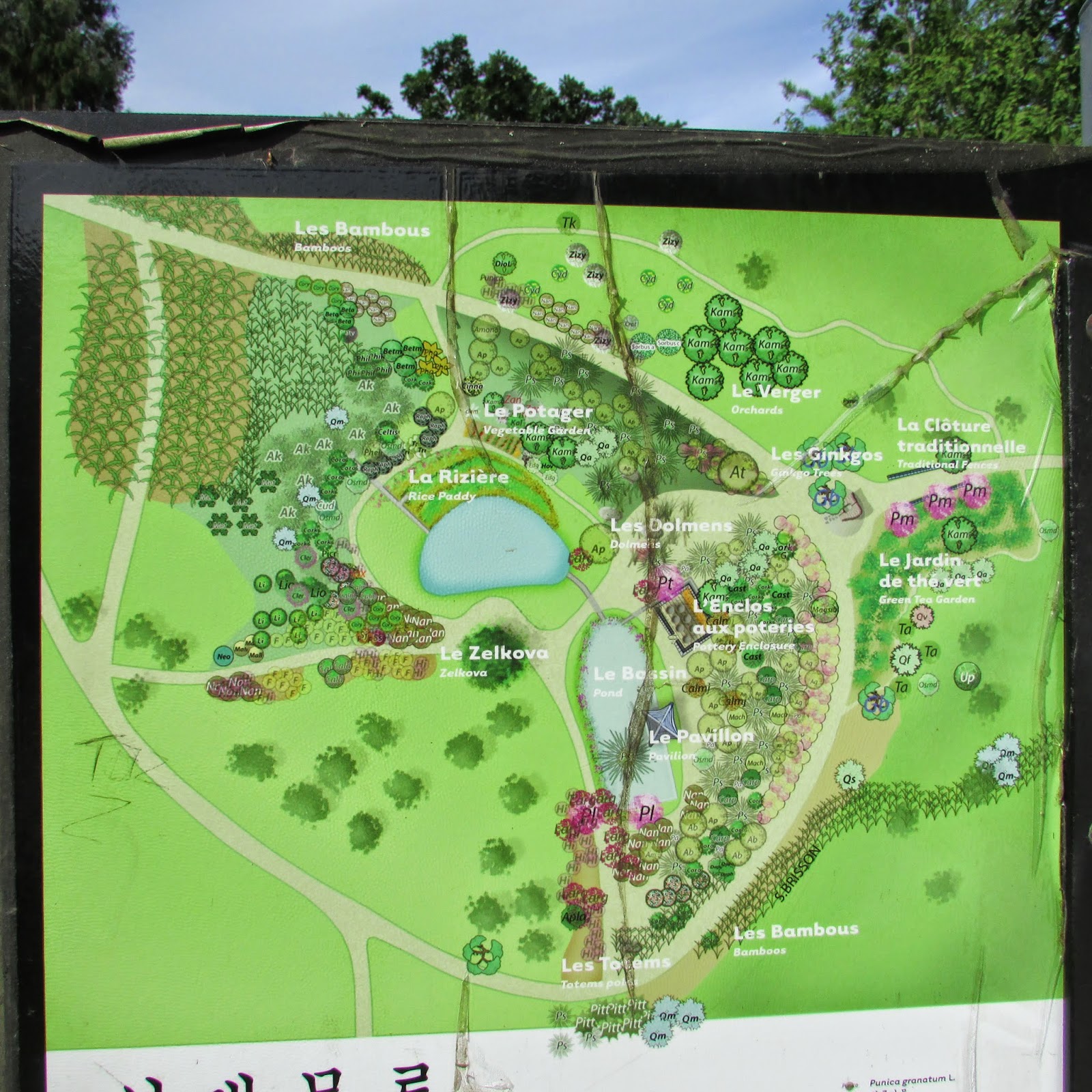 La Bull'à'Moa Parc du GrandBlottereau à