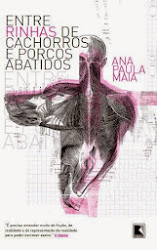 3º romance - ENTRE RINHAS DE CACHORROS E PORCOS ABATIDOS / 2009