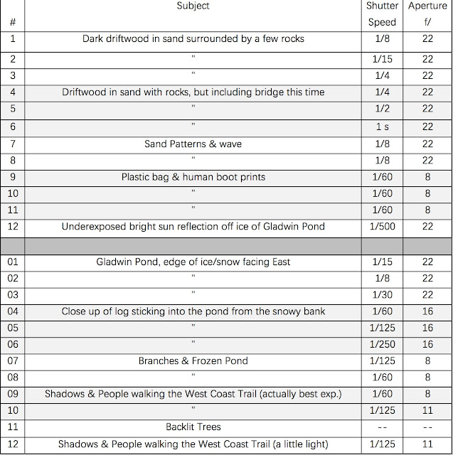 Verichrome Pan Experience