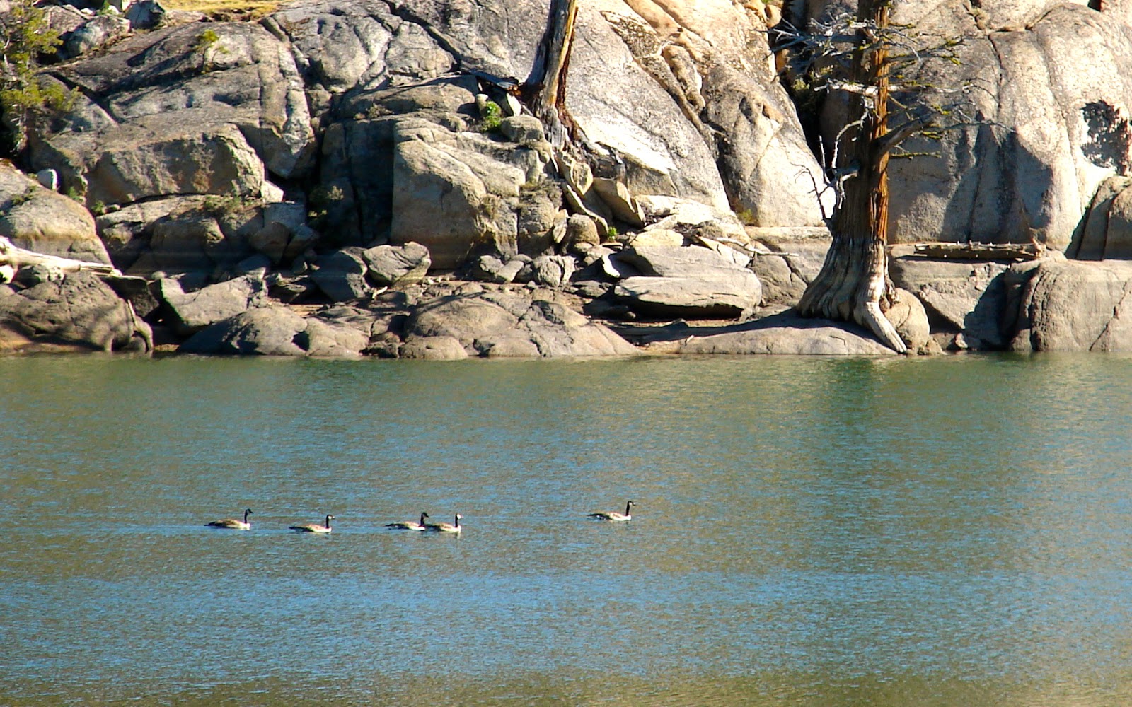 Our Four Wheel Camper Lower Sunset, Tamarack and Lost Lakes "an