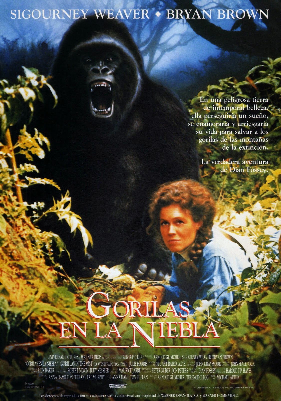 Gorille Dans La Brume Bande Annonce