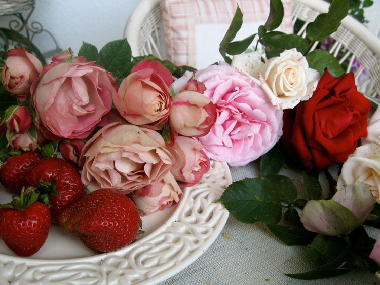 Lavanda & Rose: Le rose che colsi....