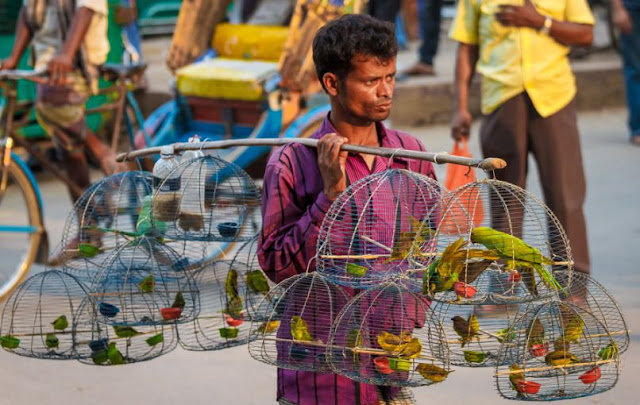 A Street Hawker In Bangladesh