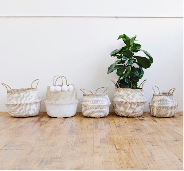 fort & field POTTING A FIDDLELEAF FIG IN A BASKET