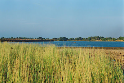 ATT00041.jpg