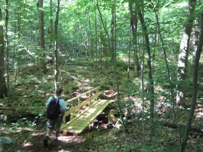 Easy Hikes Stillwater Mountain Fire Tower (Herkimer County, New York)