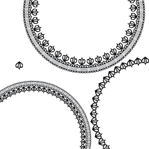b_1252115880649.jpg