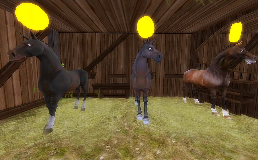 The Jorvik Report SSO Horses