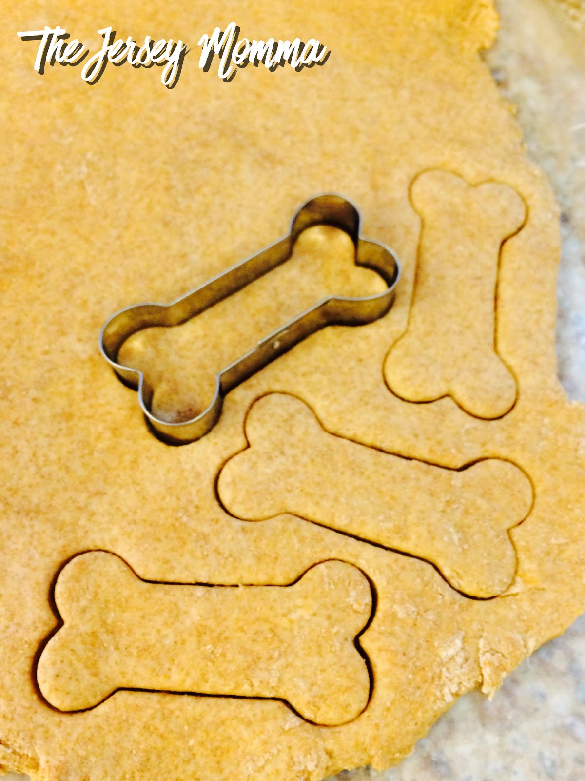 Easy 2 Ingredient Dog Treats Make Your Own Healthy Dog Biscuits! The