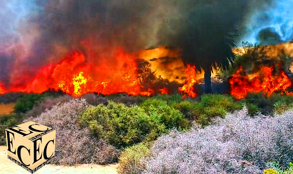 Conato incendio dunas Maspalomas, controlado Conato incendio dunas Maspalomas, controlado