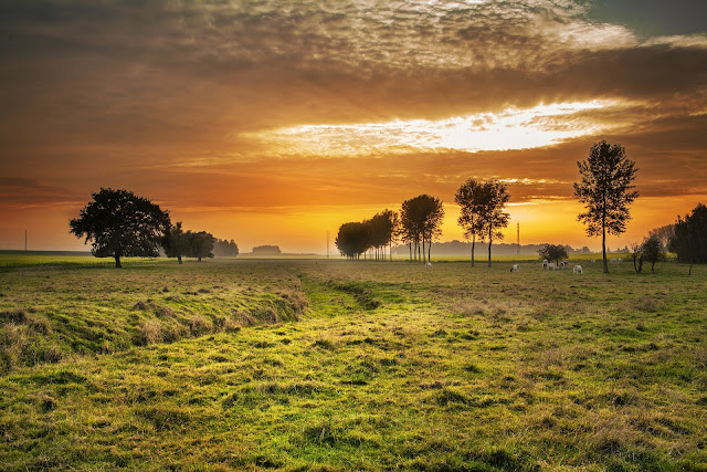 campagna romana