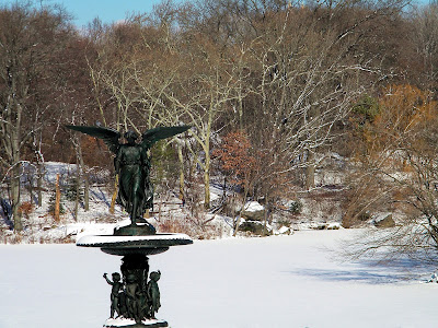 Winter snow central park New York City