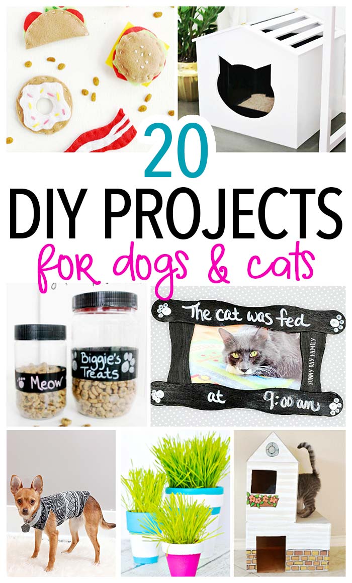 20 Awesome DIY Pet Projects to Make for Your Dog & Cat Sunny Day Family