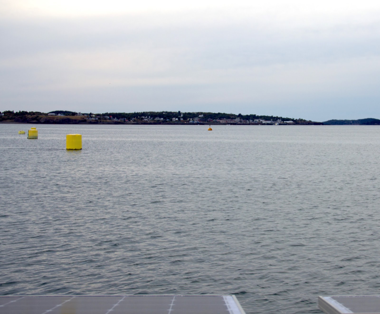 Exploring the World in 'Blue Velvet of Sark' Friars Bay Campobello NB
