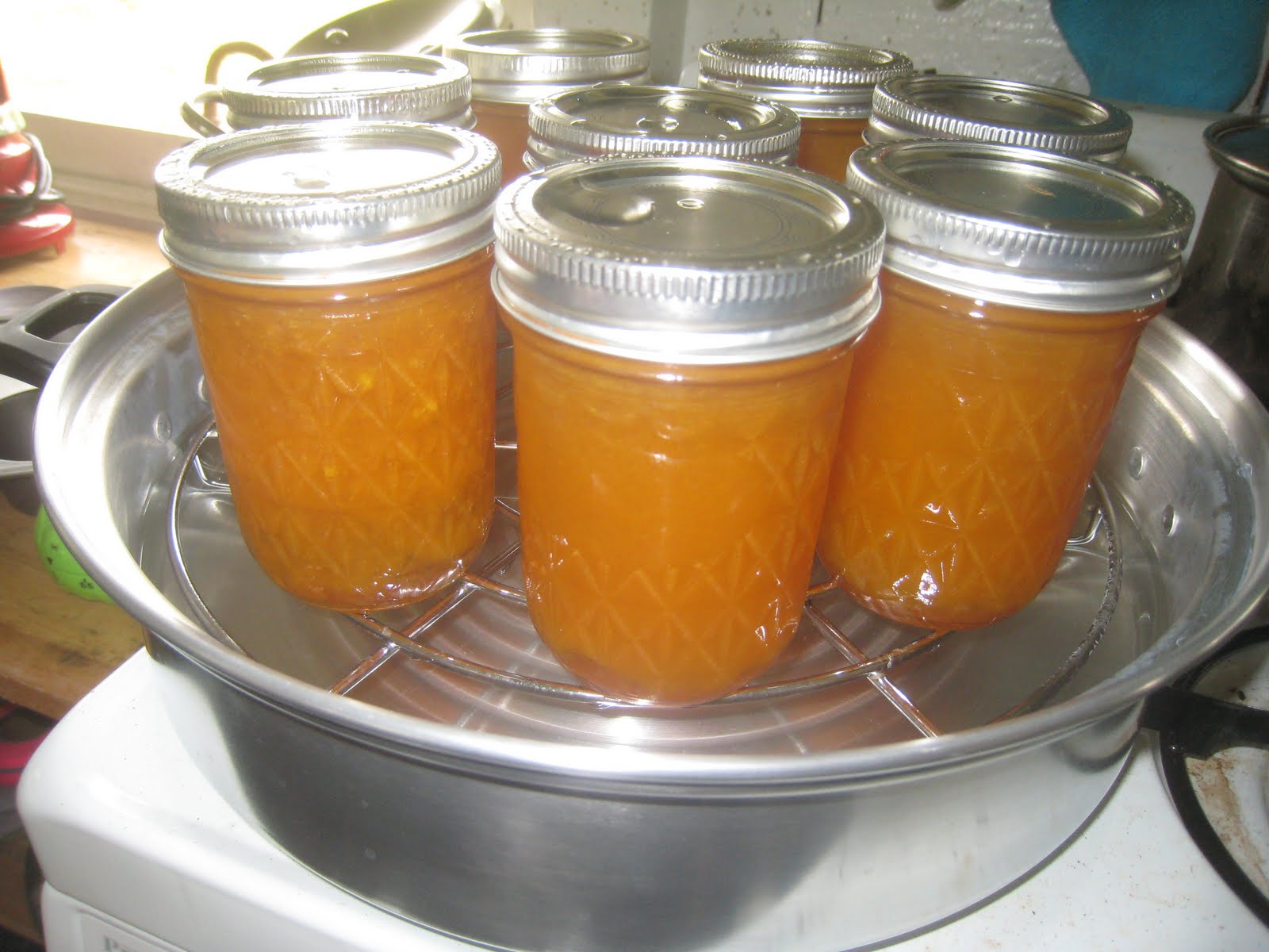 Tropical Homestead Liliko'i Ginger Preserves
