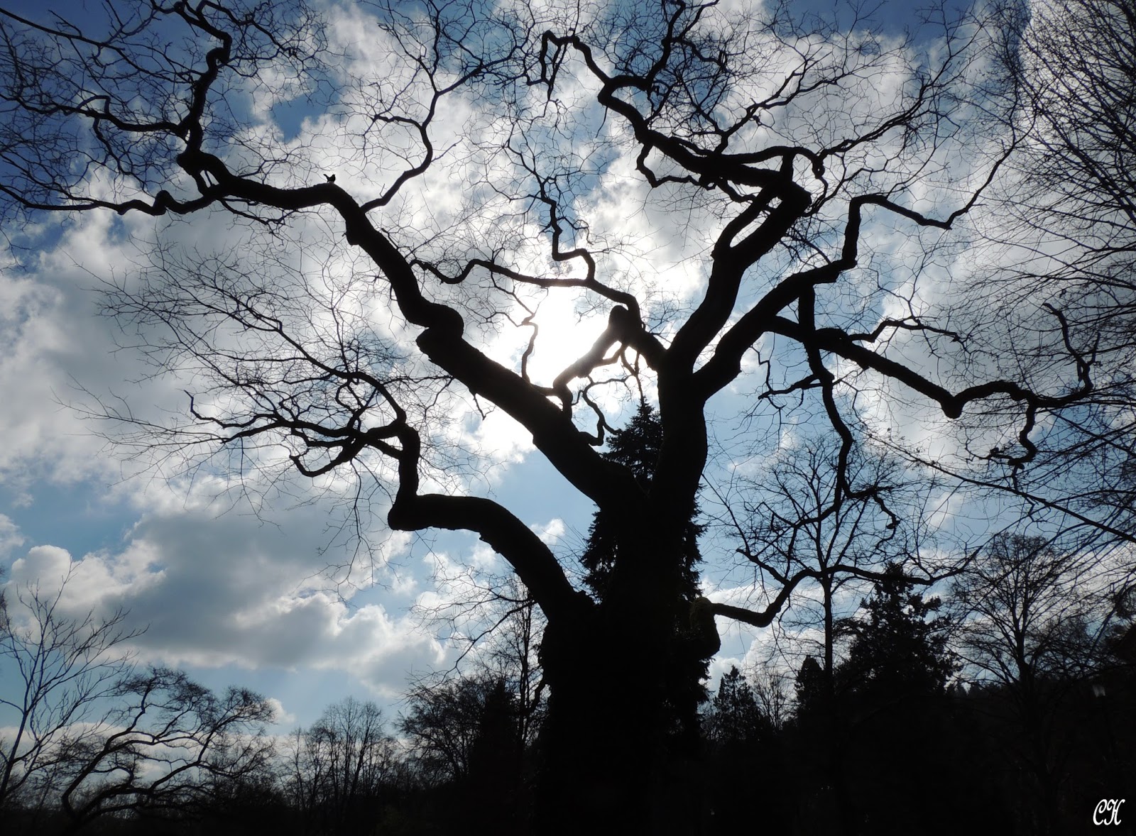 Rien Que Des Mots Glissants Sur Les Nuages: février 2017