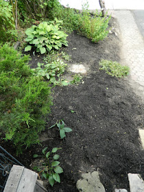Riverdale front garden cleanup after Paul Jung Gardening Services Toronto