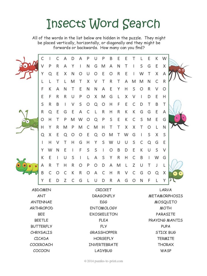 Bug Wordsearch