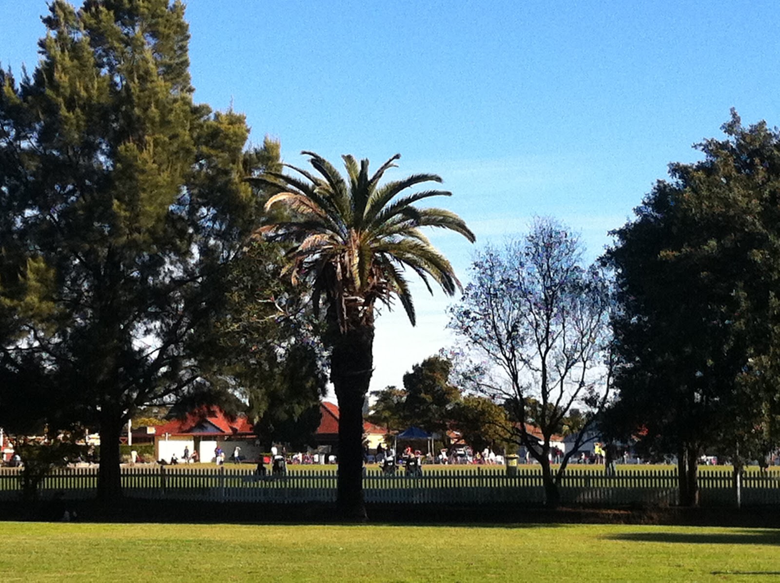 Sydney Daily Photo Bexley Park
