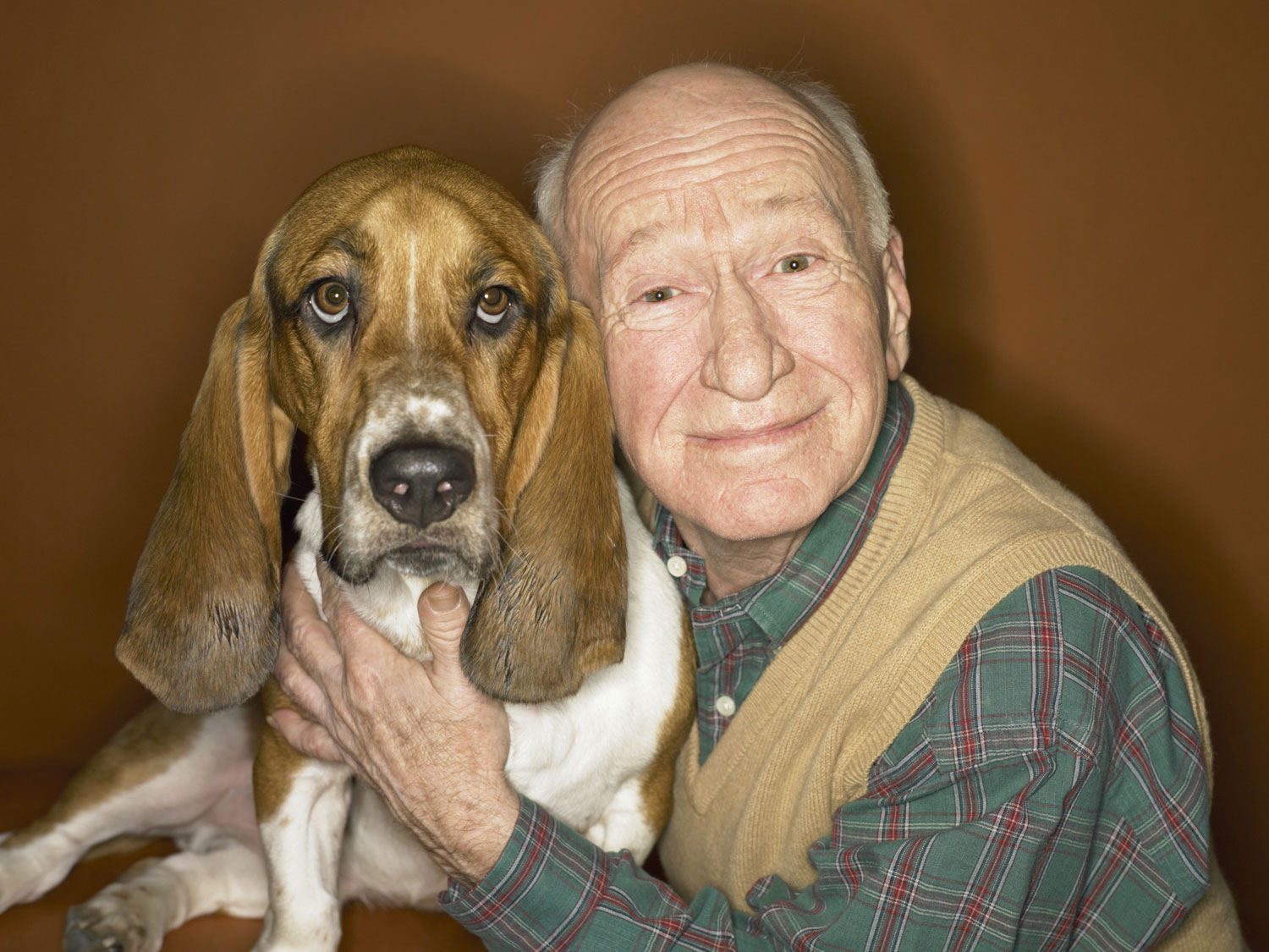 Пожилые собаки возраст. Дедушка с собакой. Собака и пожилой хозяин. Пожилая собака. Собака похожая на дедушку.