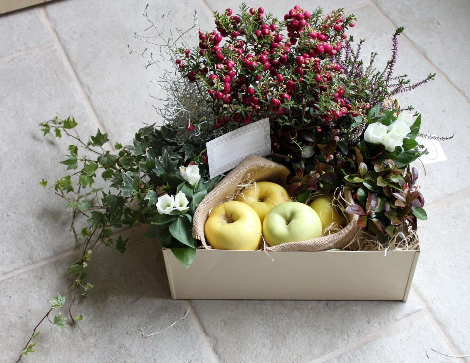 OTRO GALLO CANTARIA: Más cajas de plantas para regalo!