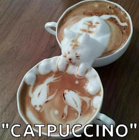 catpuccino plush