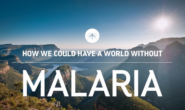 Image: How We Could Have A World Without Malaria #infographic
