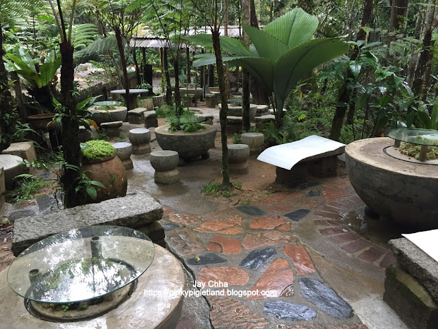 Kopi Hutan | Monkey Cup @ Penang Hill, Penang