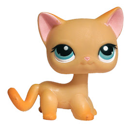 Littlest Pet Shop 3-pack Scenery Cat Shorthair (#339) Pet