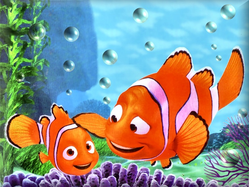 Nemo-Fish.jpg