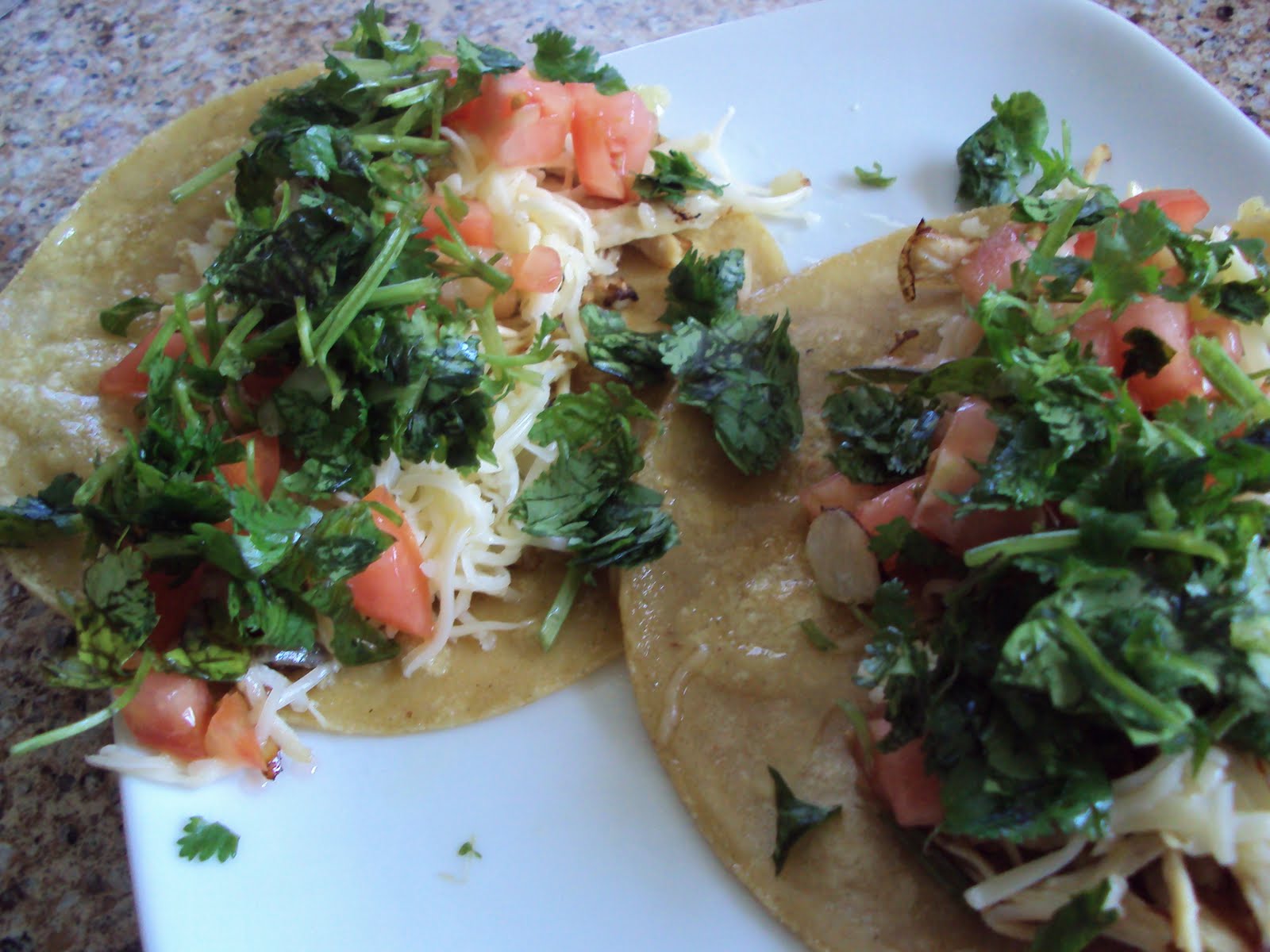 Because I Can How to Eat Mexican Food in Pittsburgh