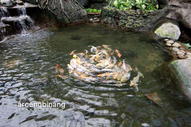 taman akuarium air tawar tmii jakarta timur