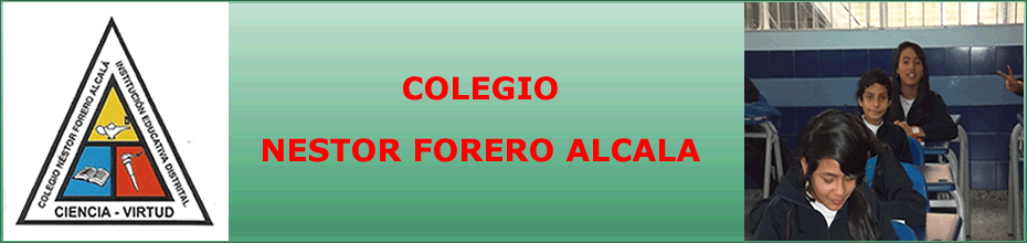 Martin Farfan- Colegio Nestor Forero Alcala J.M   