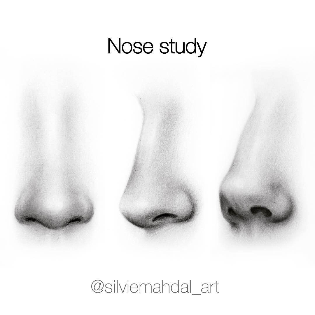 16-Nose-Study-Silvie-Mahdal-Realistic-Anatomical-Detailed-Portraits-www-designstack-co