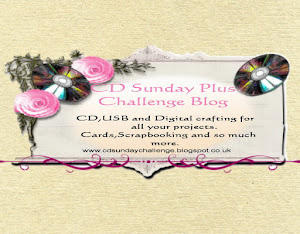 CD Sunday Plus Design Team Member