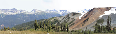 Panorama from Flute Summit