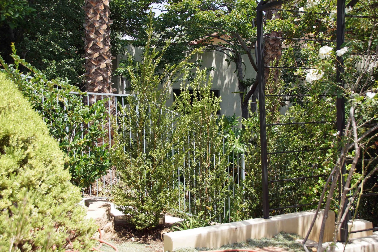 Nursery Visit Gossler Farm Nursery Part Ii