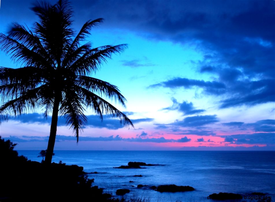 Tropical Island Sunset Wallpaper   HD wallpapers n