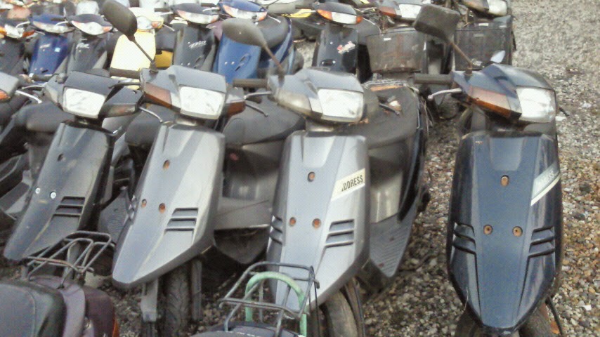 Suzuki sepia ca1ha