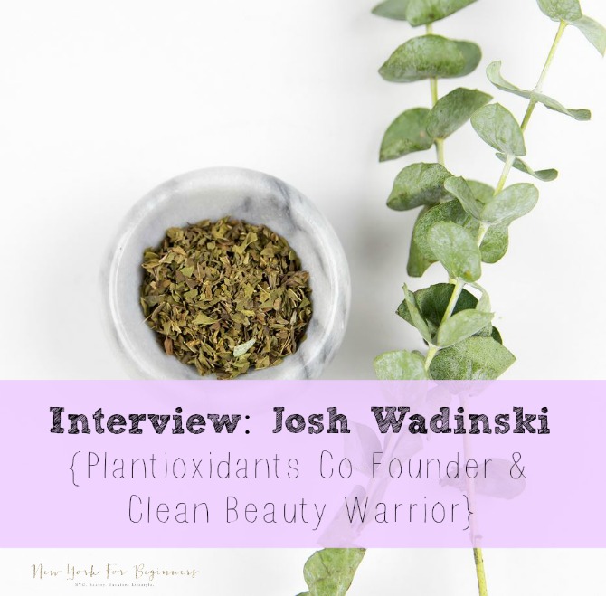 Dried herbs and plants to introduce an interview with Josh Wadinski, co-funder of Plantioxidants