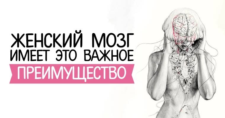 Картинка мозг женщины прикольный, прикольные