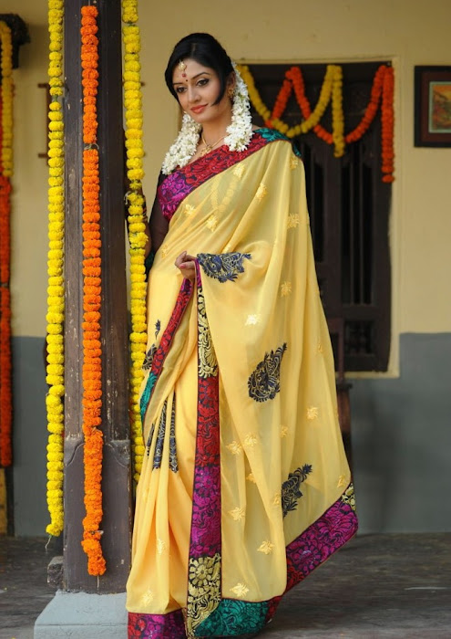 vimalaraman saree hq nowatermark actress pics