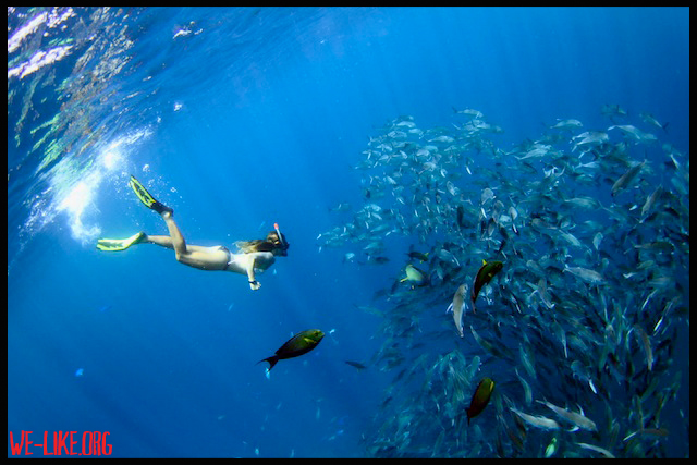 Bali Snorkeling Trips: East Bali Snorkeling Day Trip